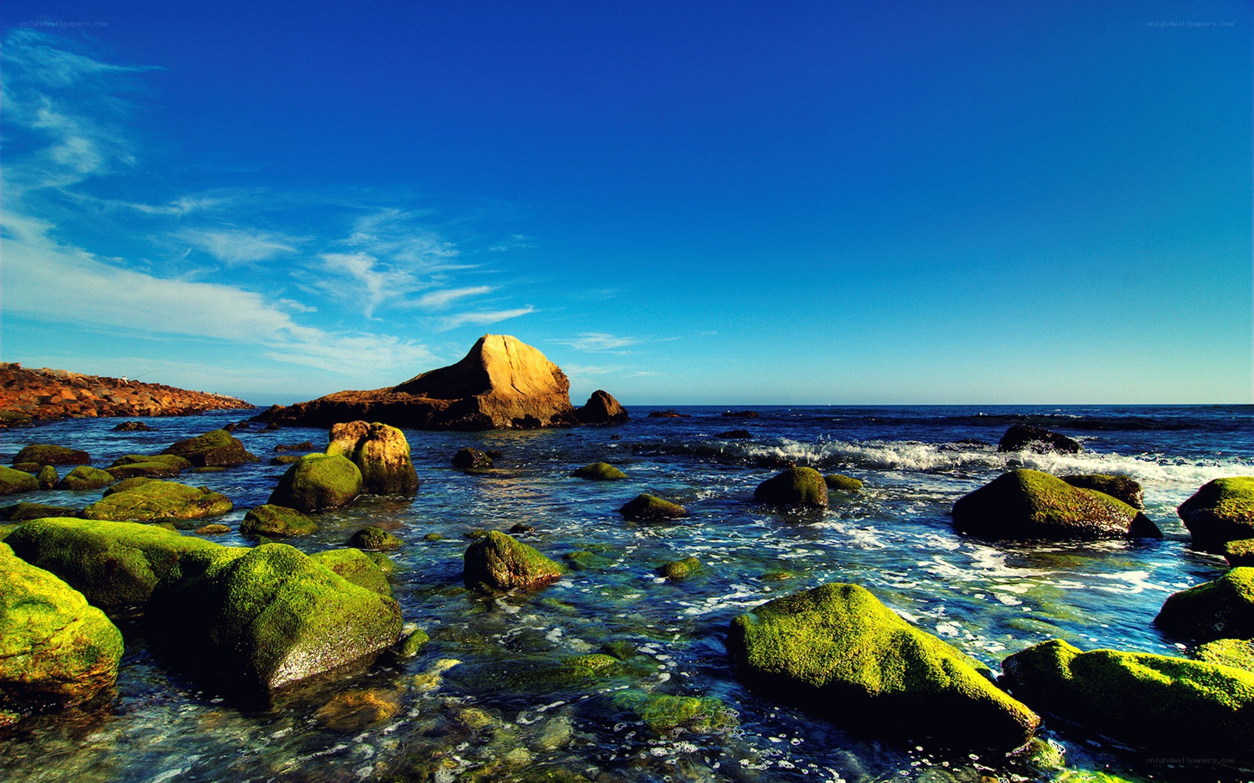 coastal rocks with green moss