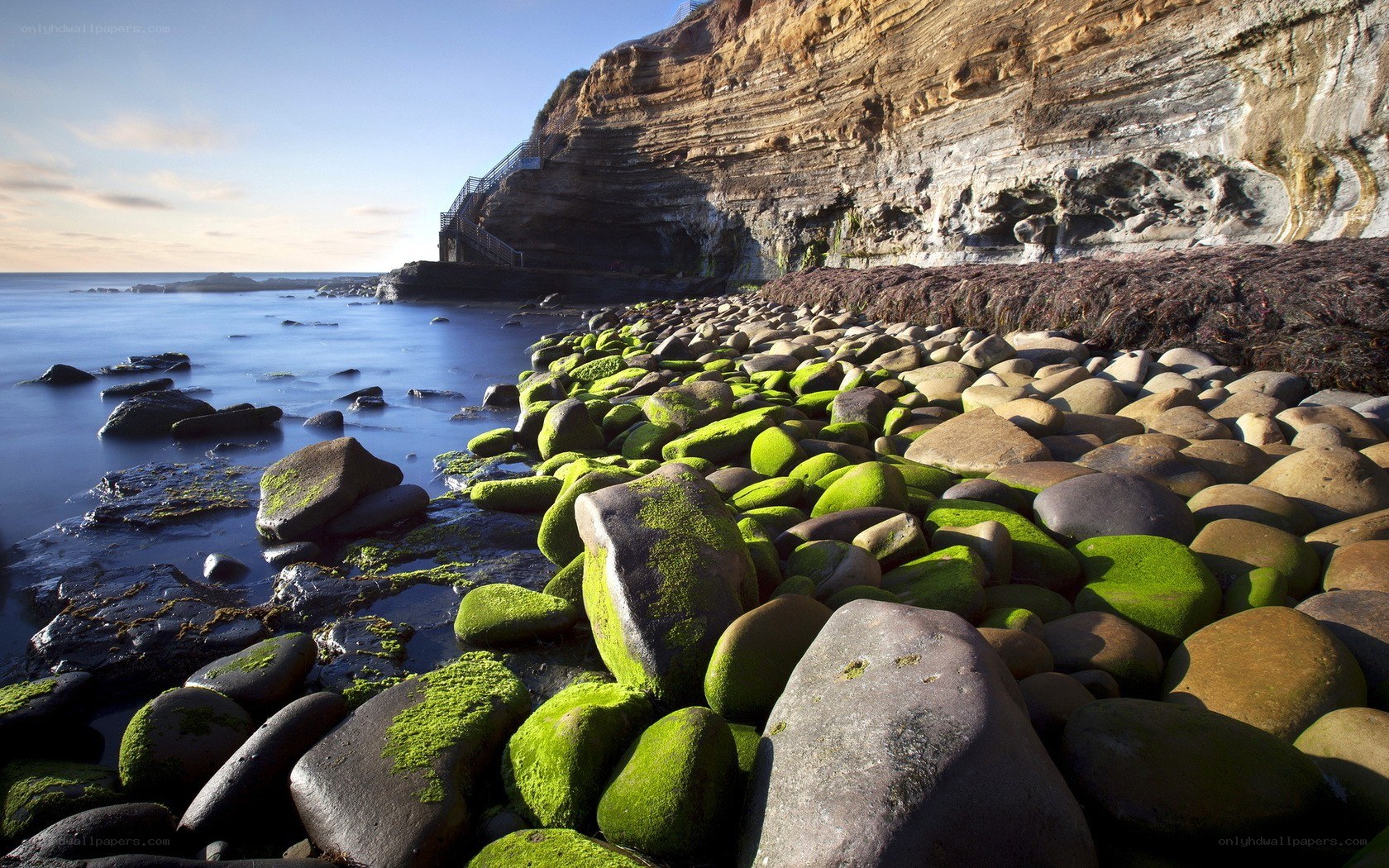 coastal rocks with green moss