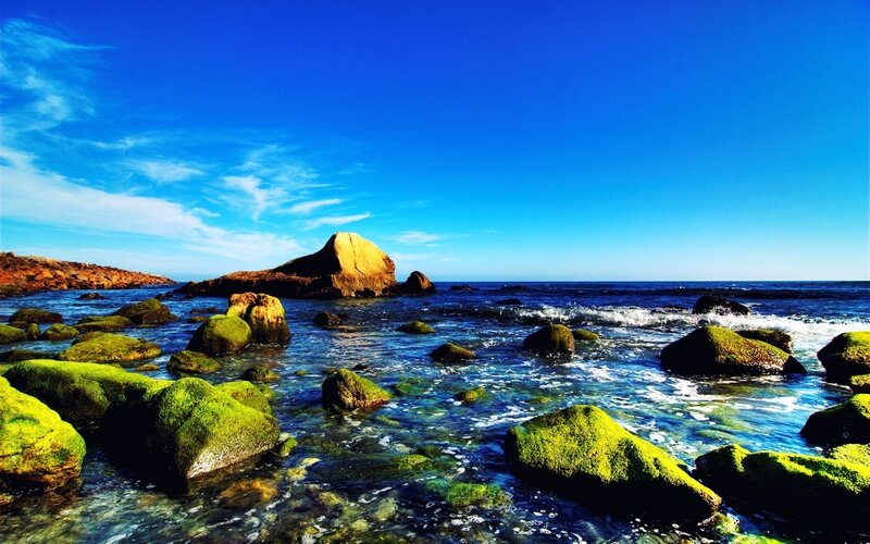 coastal rocks with green moss