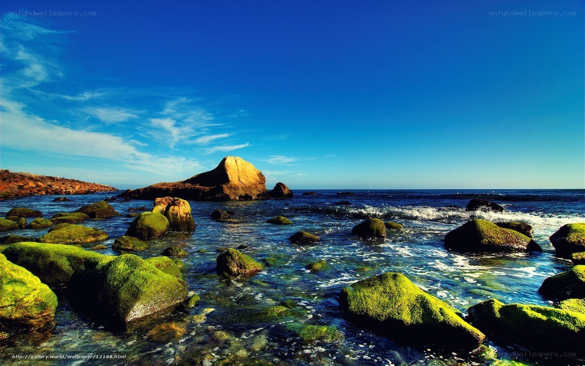 Coastal rocks with green moss