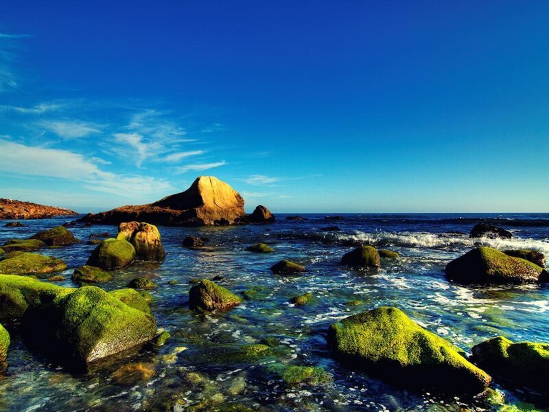 Coastal Rocks with Moss — Blue