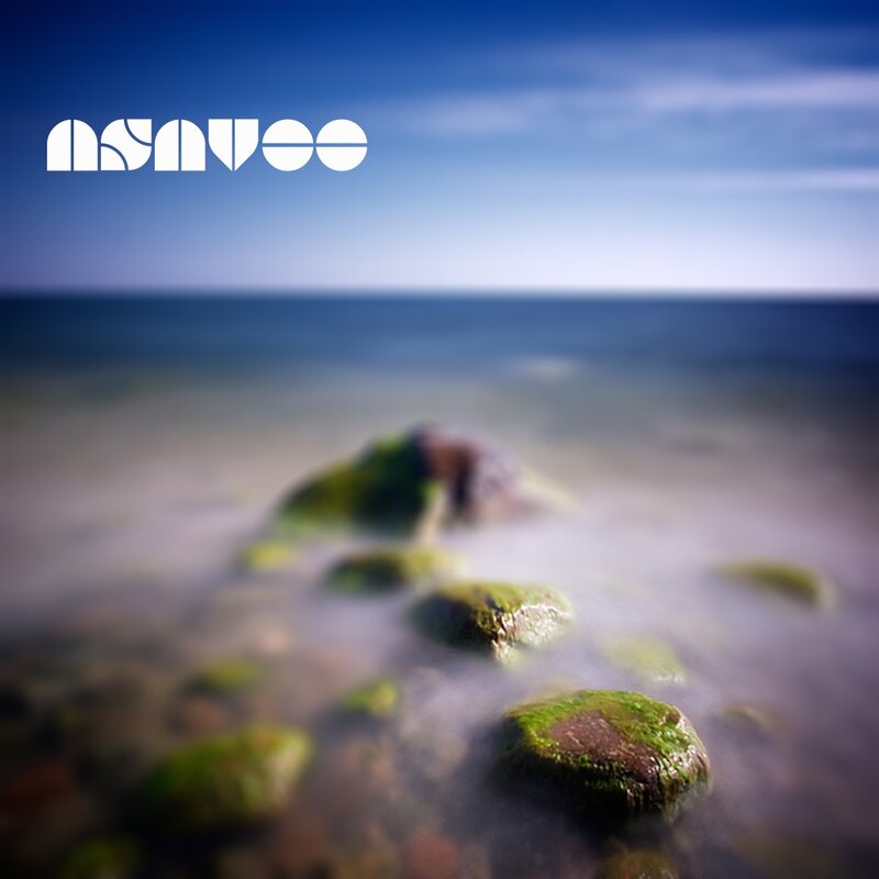 coastal rocks with moss