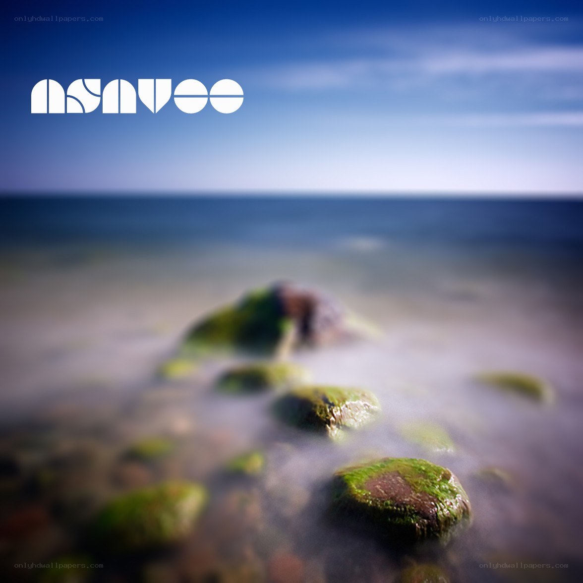 coastal rocks with moss