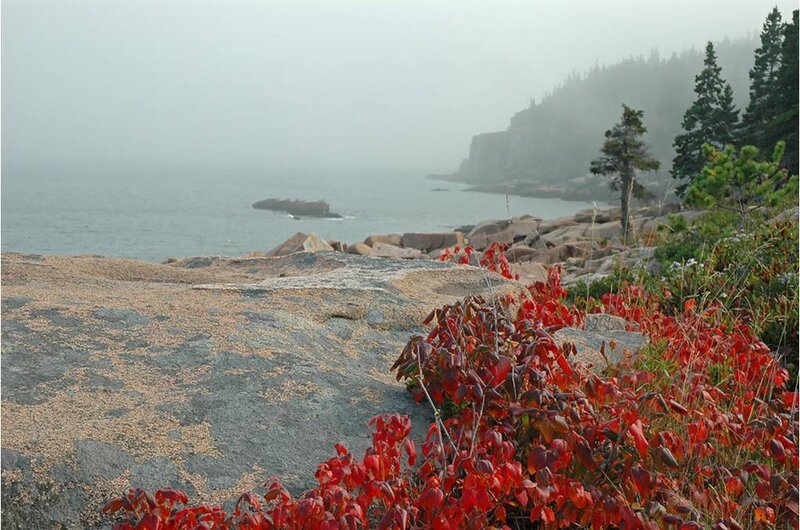 coastal rocks with red foliage