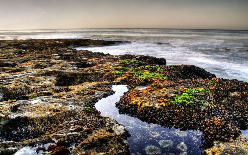 coastal rocks with tide pools