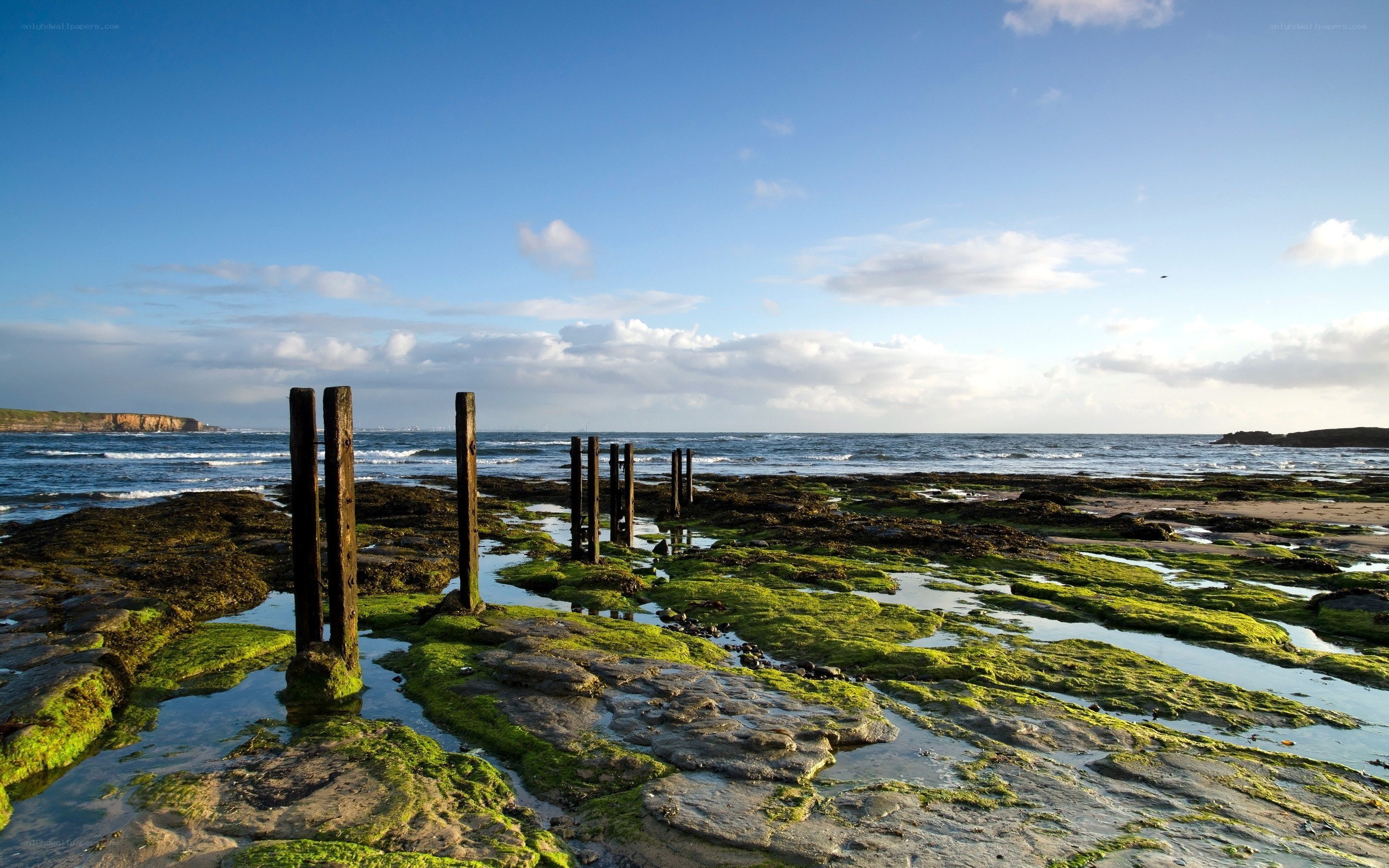 coastal rocks with wooden posts