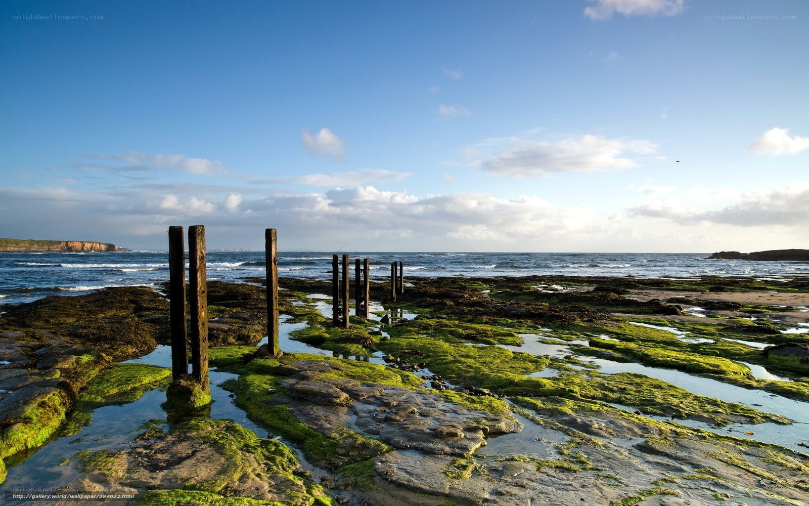 coastal rocks with wooden posts
