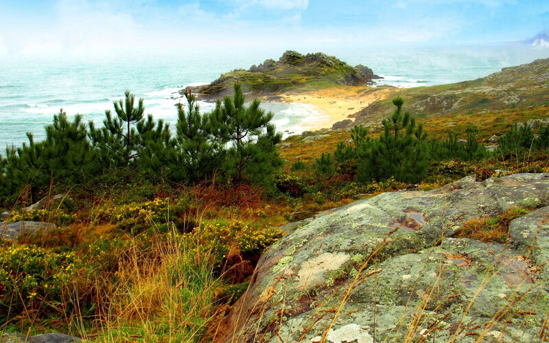 Coastal Rocky Landscape