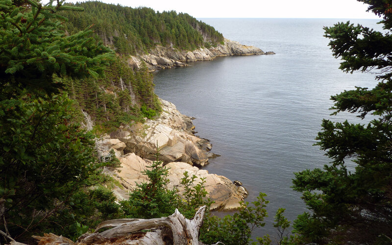 Coastal Rocky Shoreline