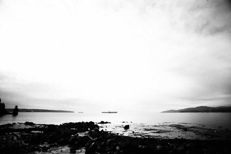 coastal scene with distant ships