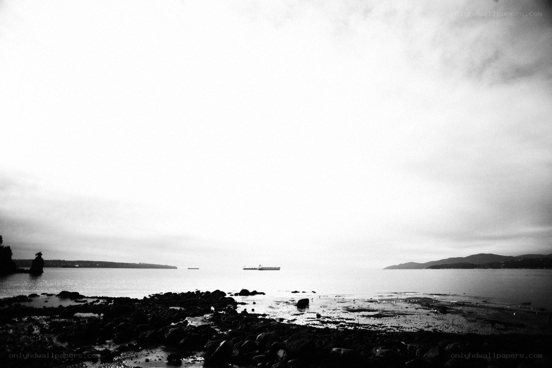 coastal scene with distant ships