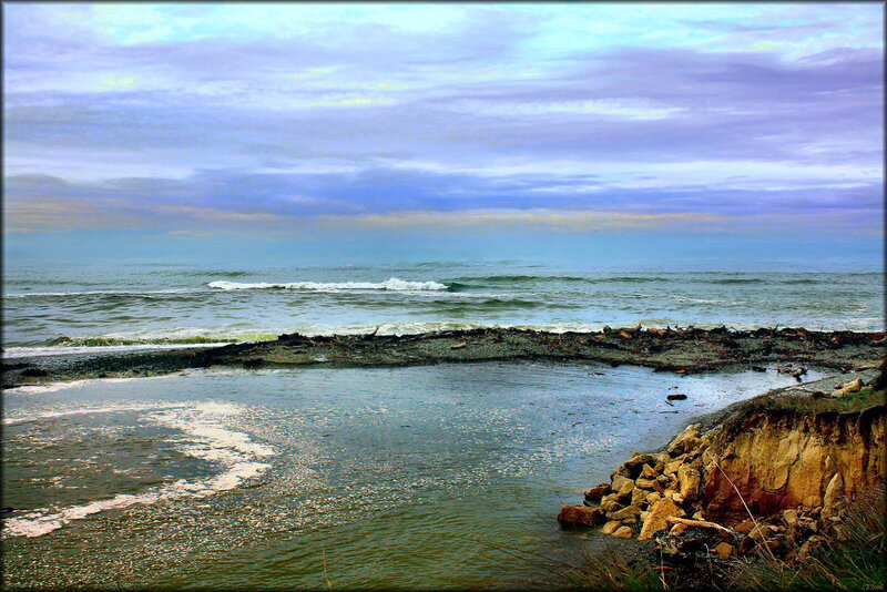 coastal scene with driftwood