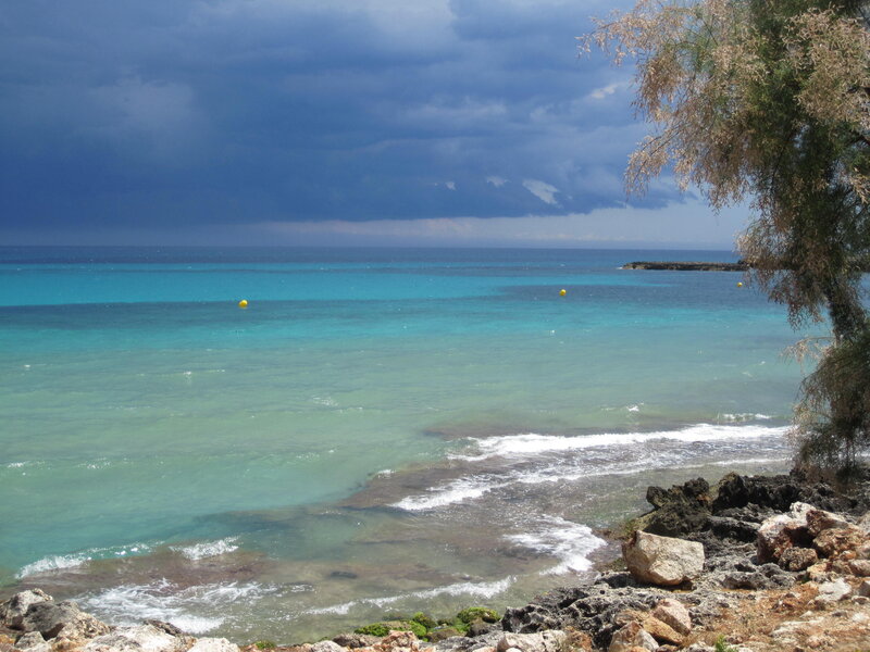 Coastal Scene with Rocks