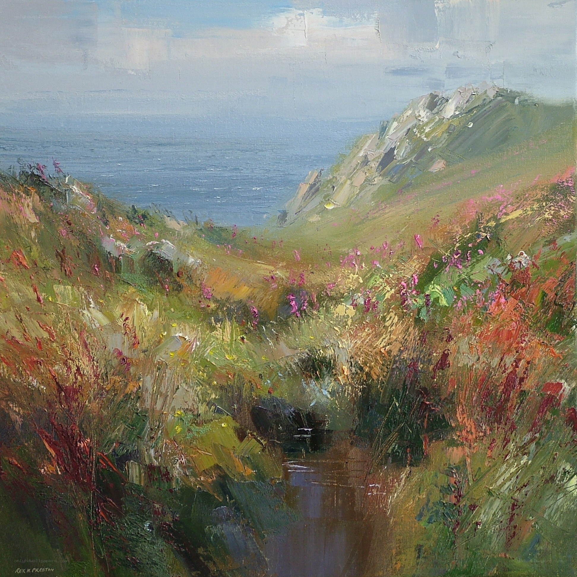 Coastal Stream with Wildflowers