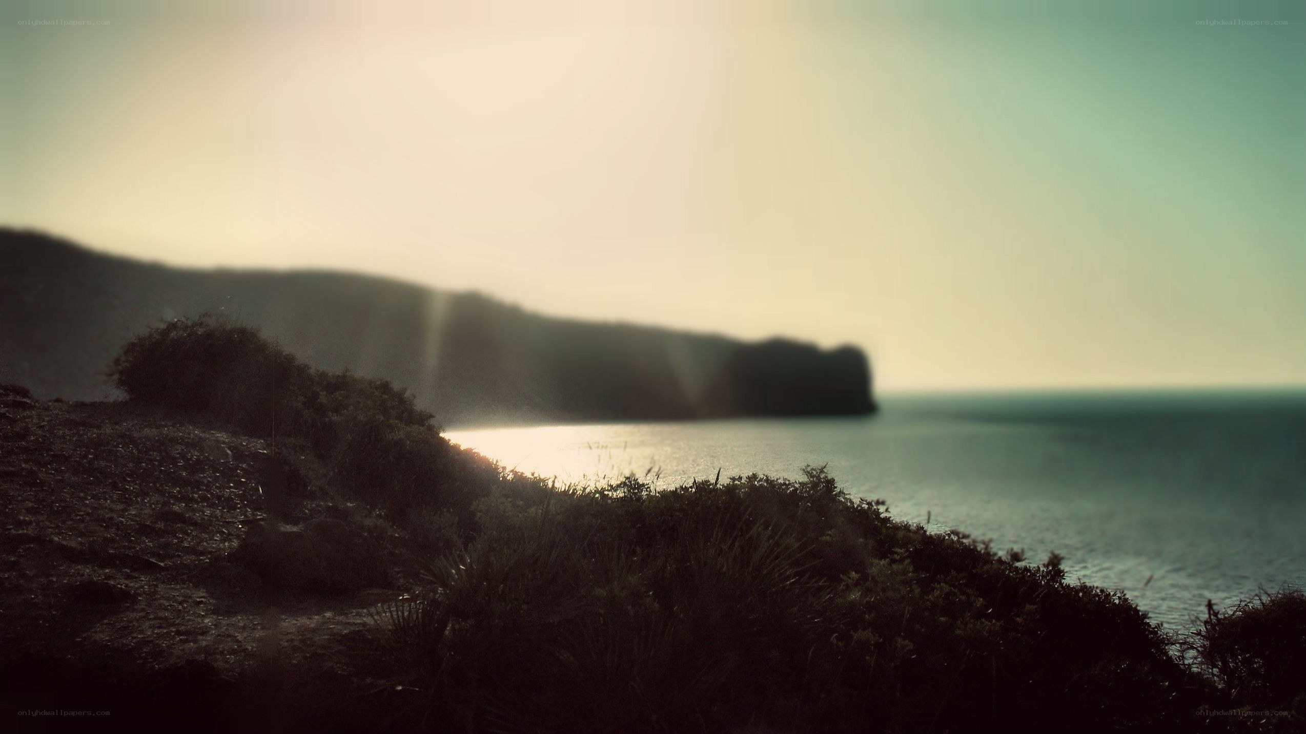 coastal sunset with lens flare
