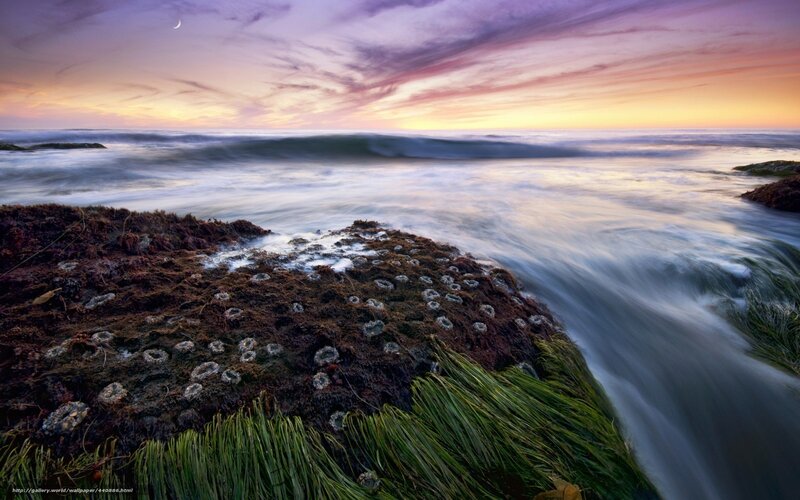 Coastal sunset with moon