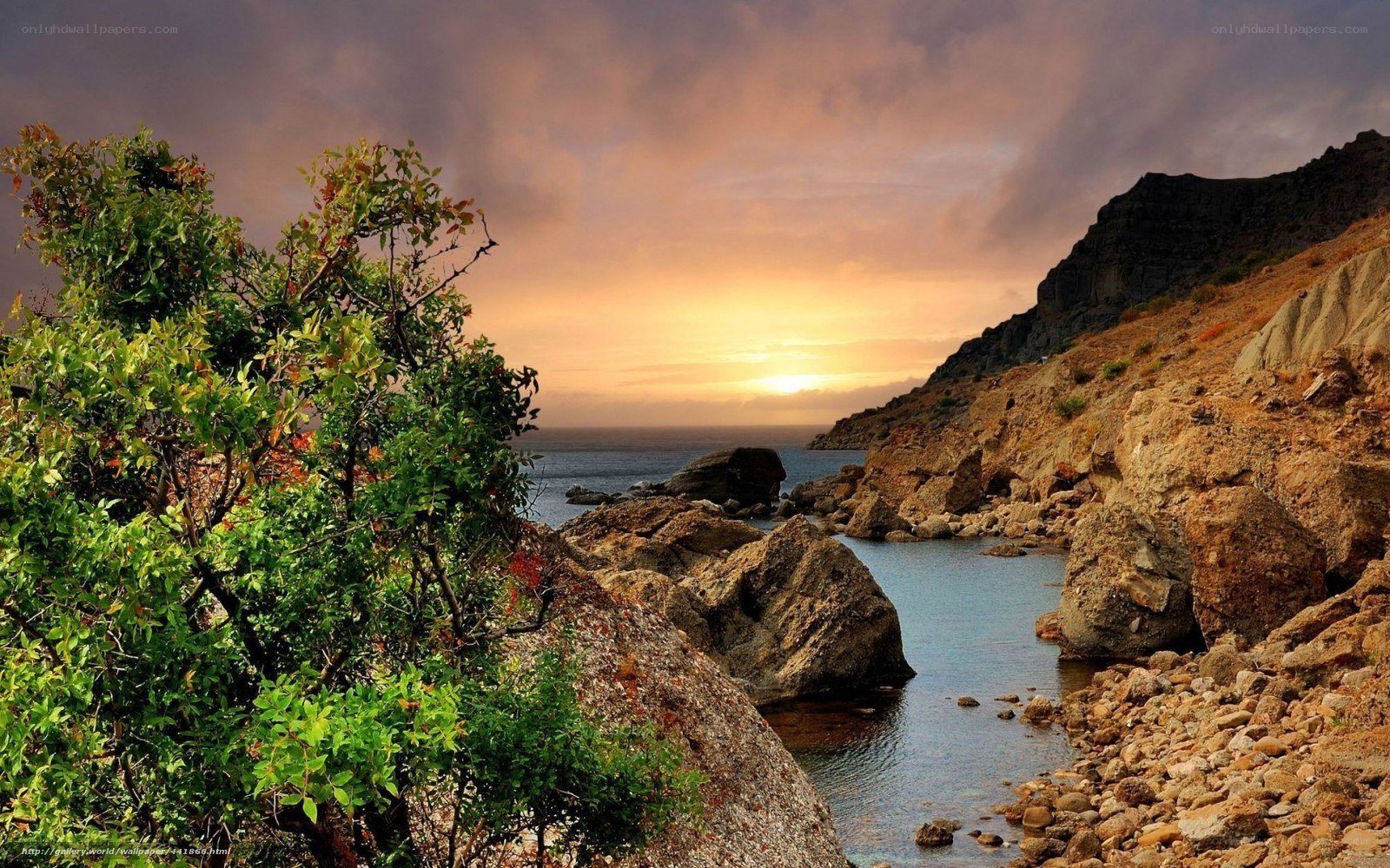 coastal sunset with rocky shore