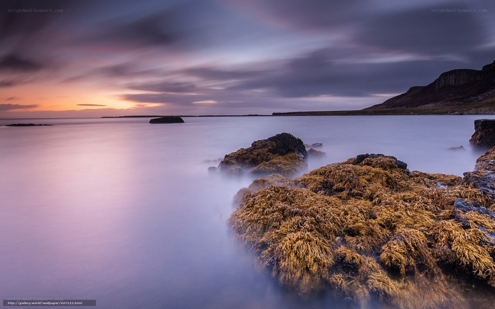 coastal sunset with seaweed