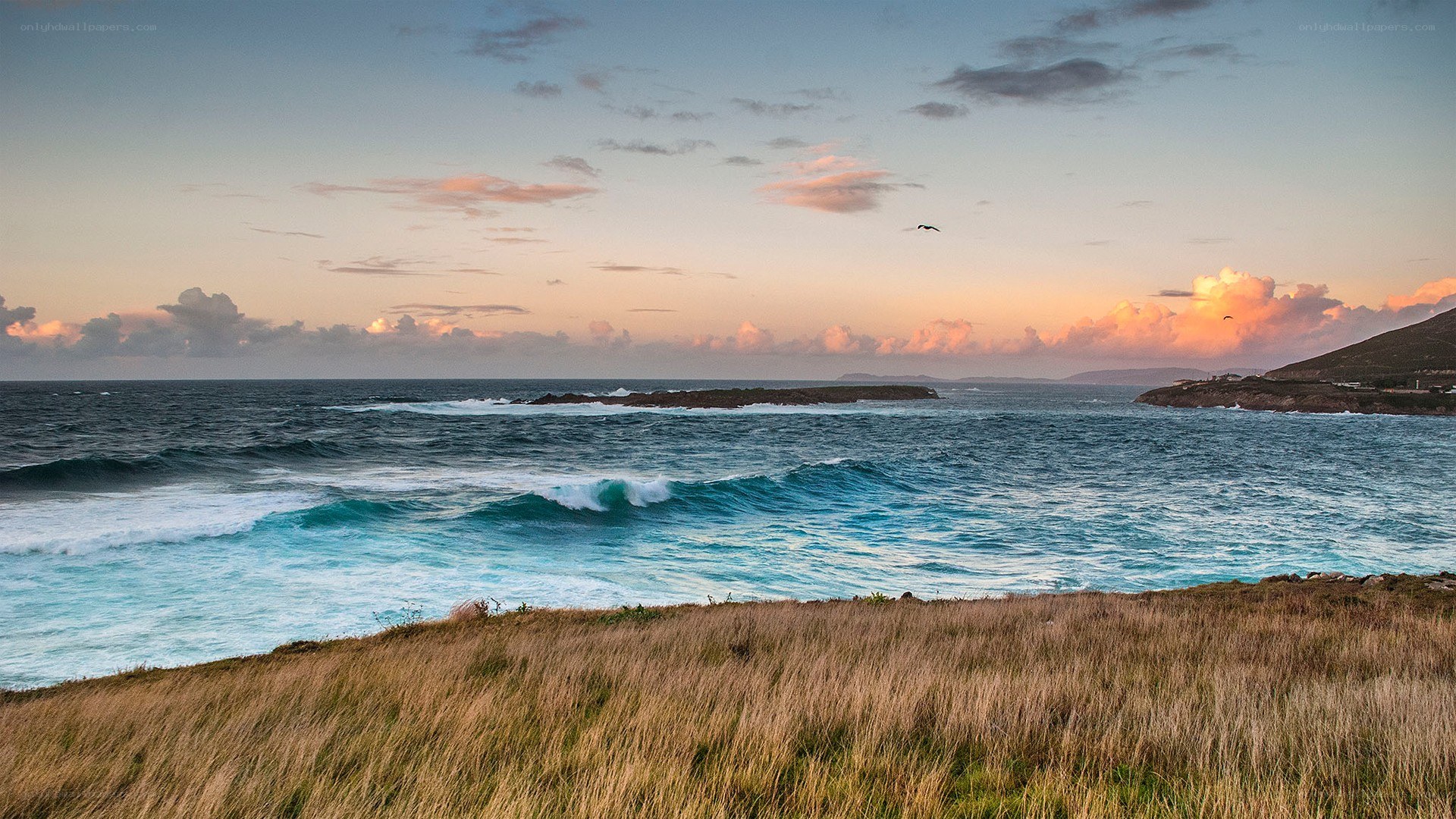 coastal sunset with waves