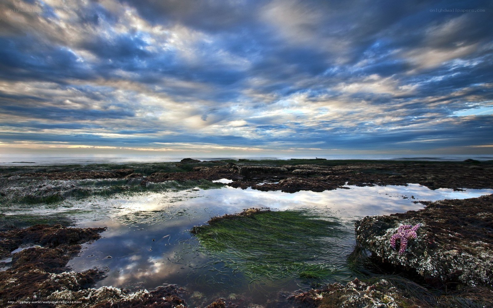 Coastal tide pools at dusk