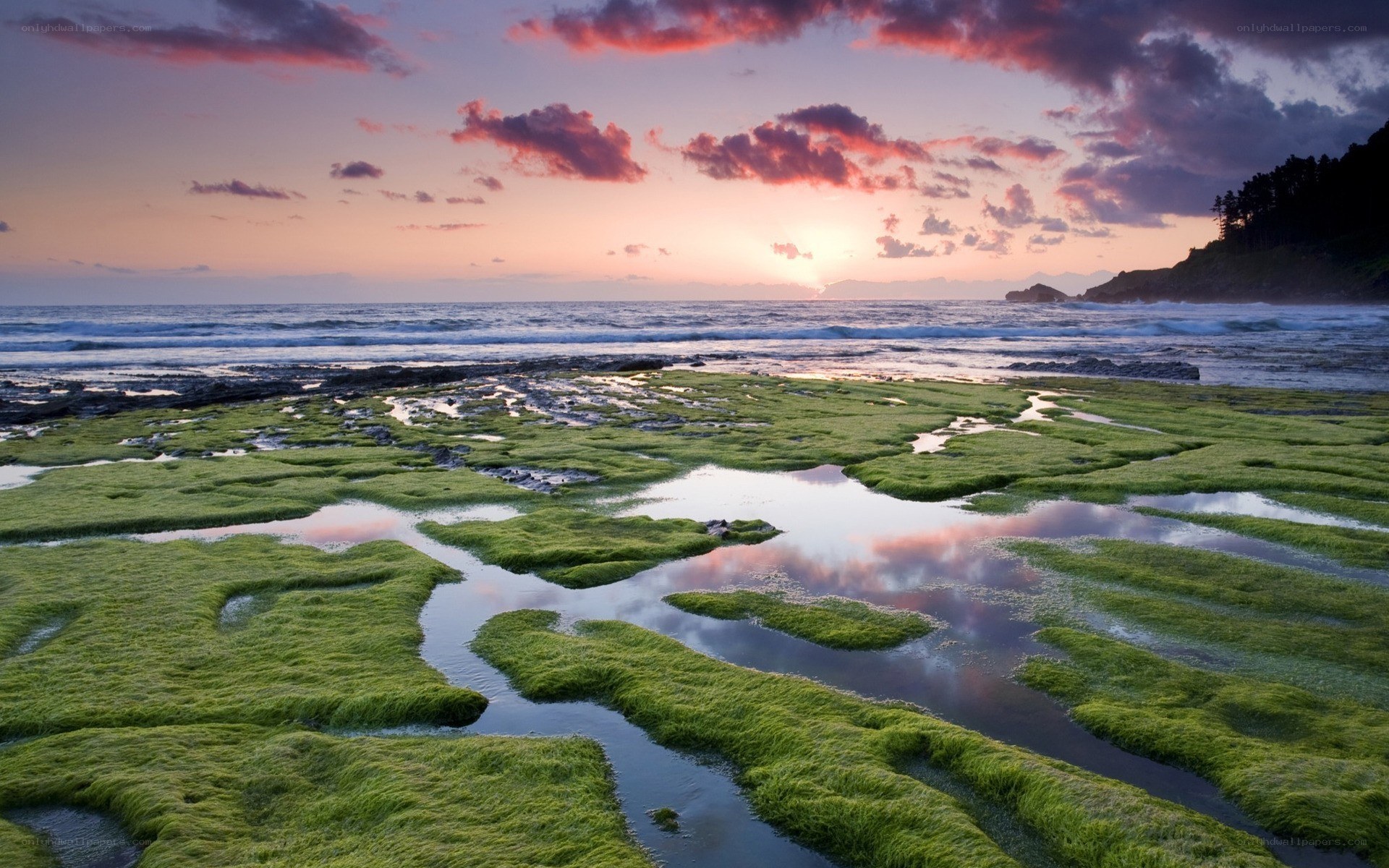 Coastal tide pools at sunset