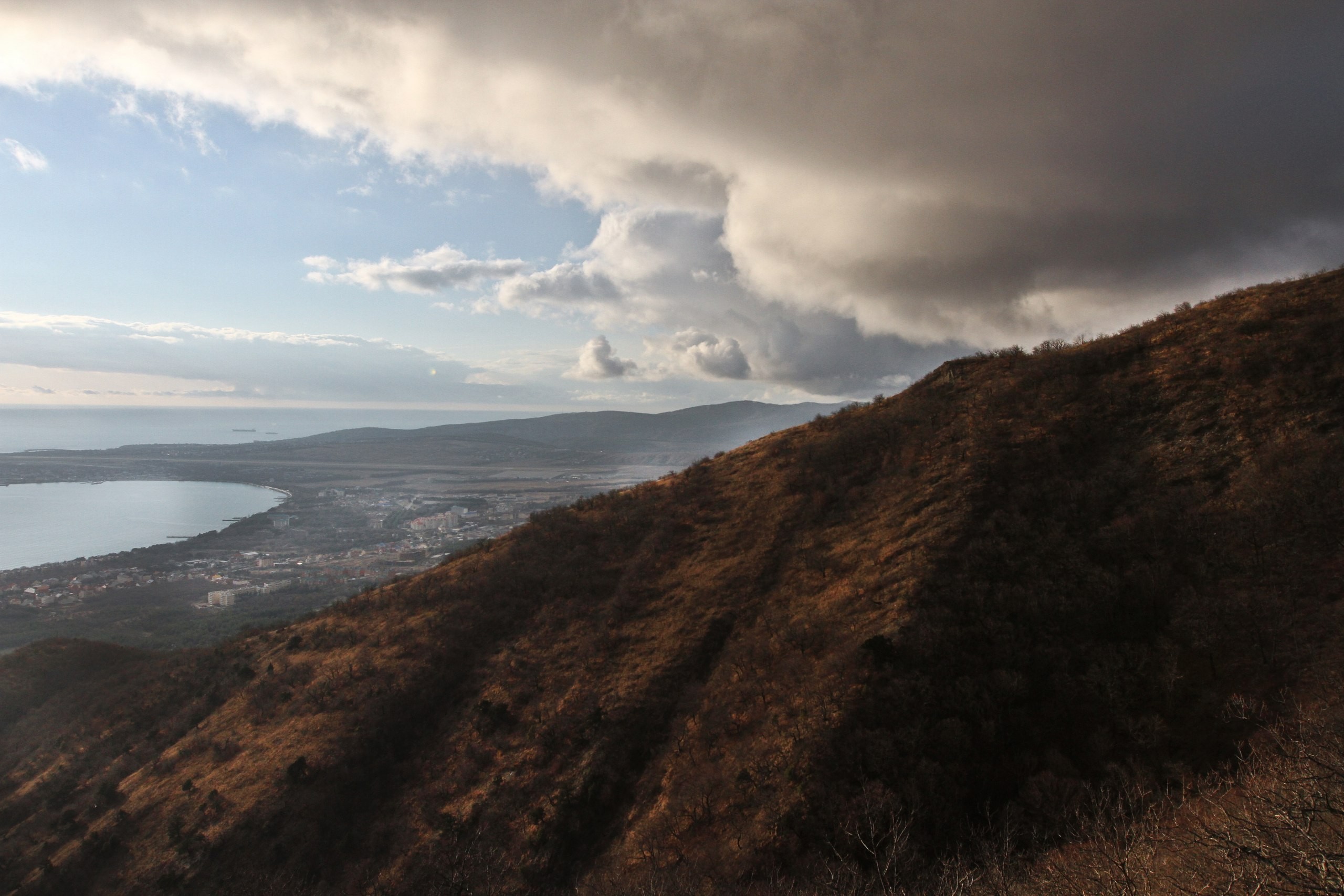 Coastal town from a hillside