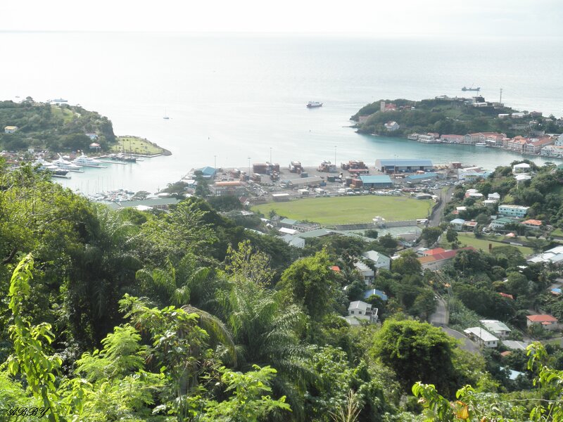 Coastal Town Harbor — Green