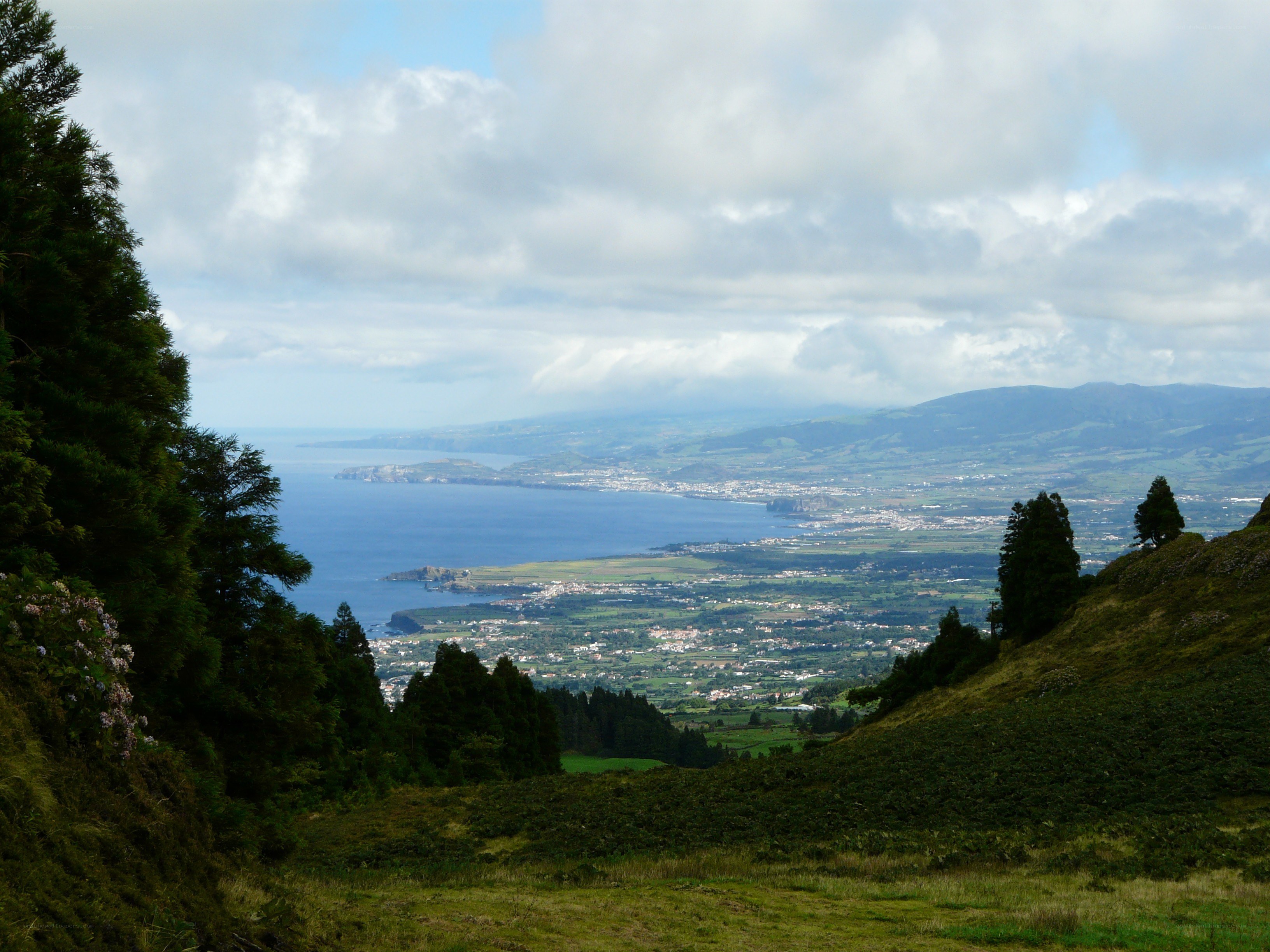 coastal town view from hillside