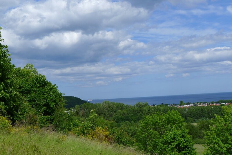 Coastal Town View — Green, Serene
