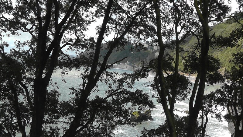 Coastal Town View — Green