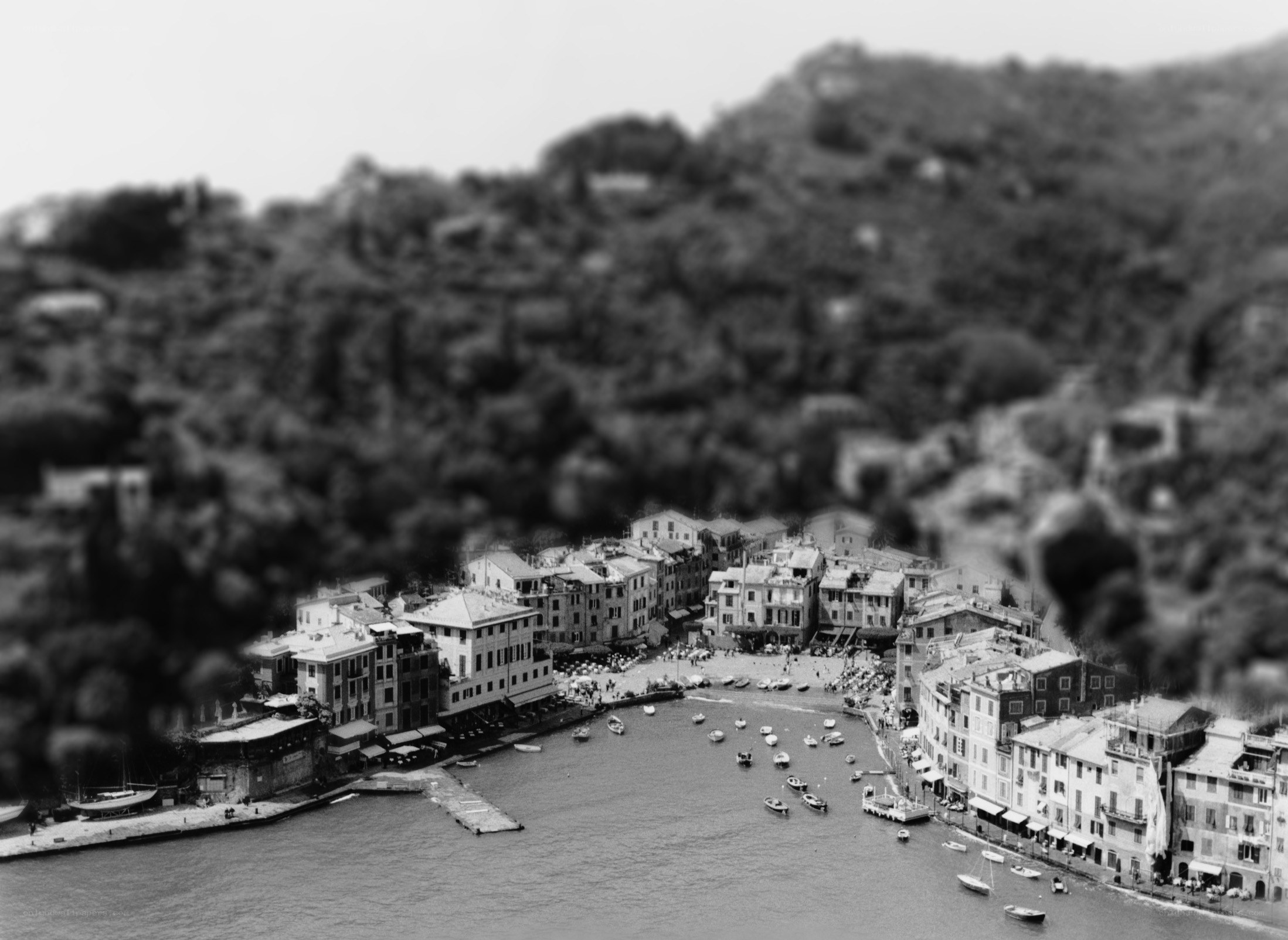coastal town with boats