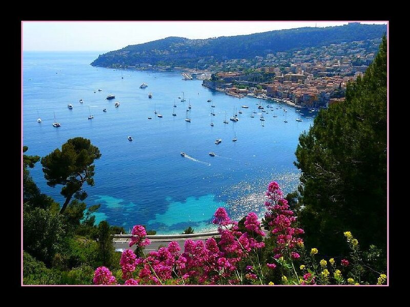 coastal town with boats and flowers