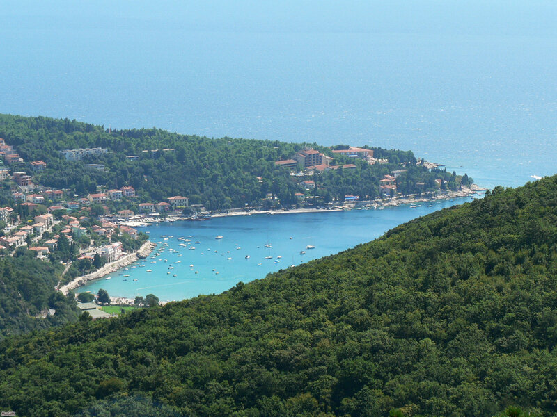 Coastal town with boats in bay
