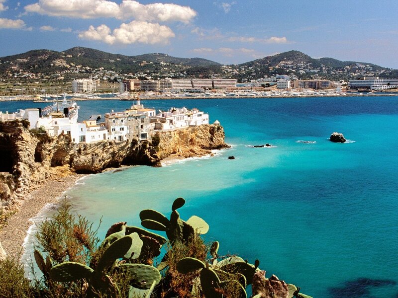 Coastal Town with Cactus
