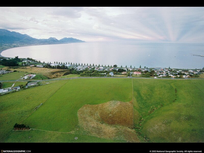 Coastal town with green fields