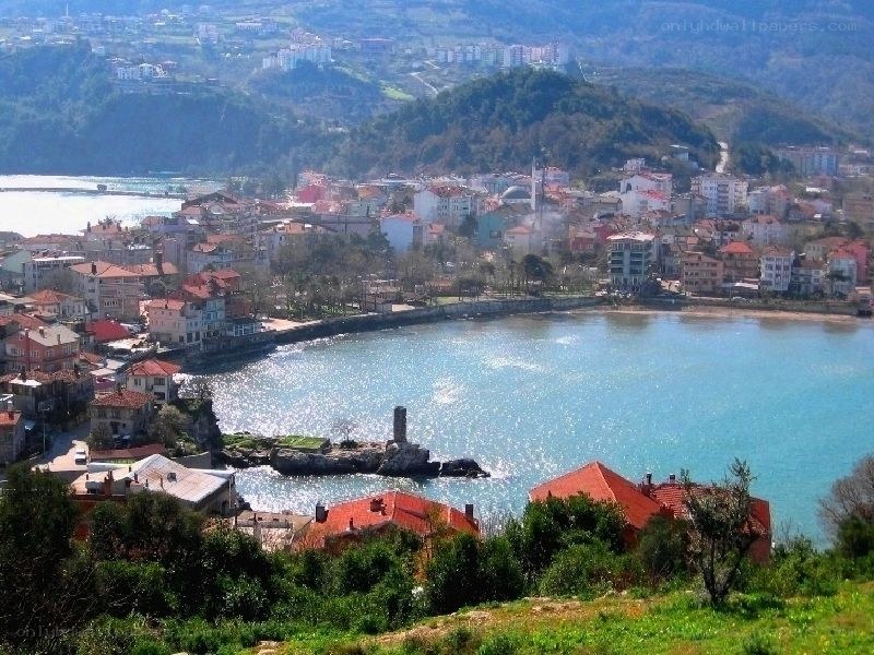 coastal town with harbor