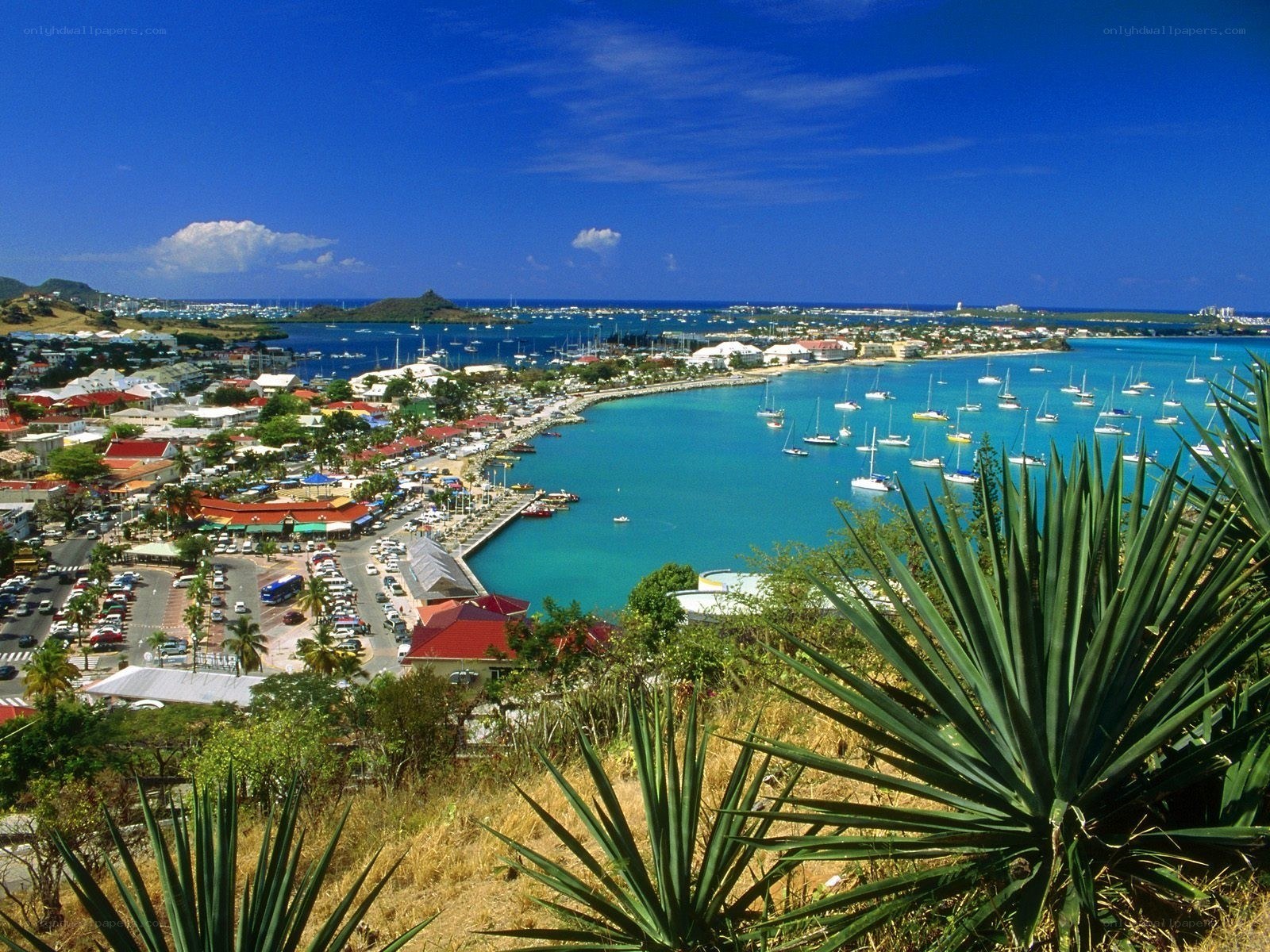 Coastal town with harbor view