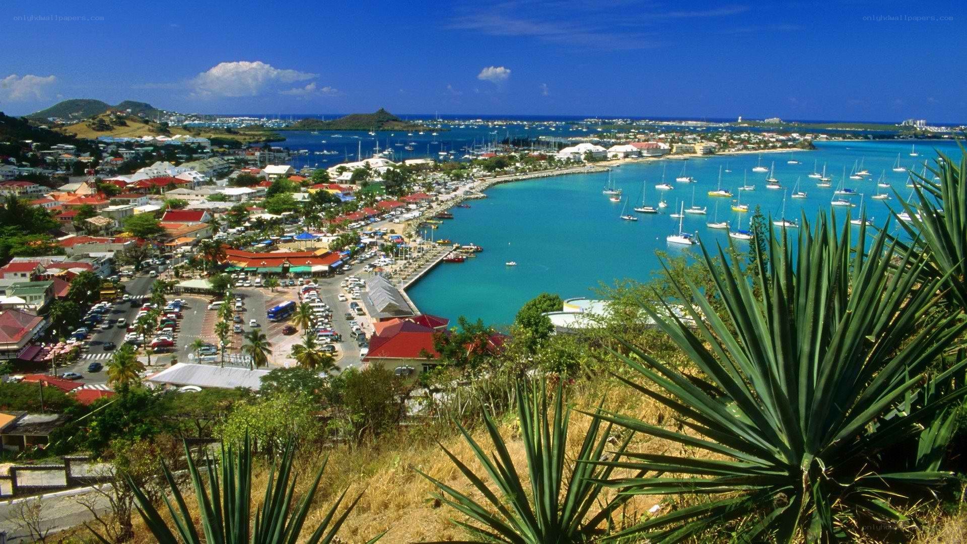 coastal town with harbor view