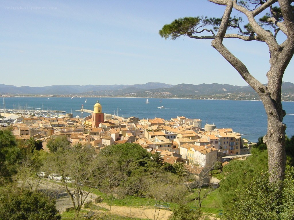 coastal town with harbor view