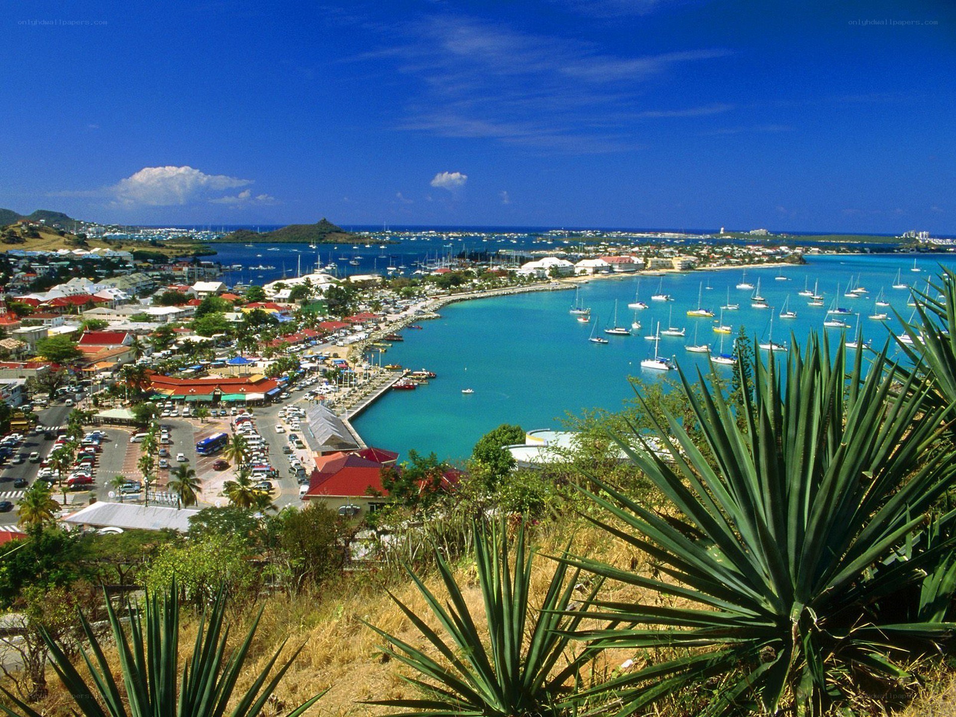 Coastal town with harbor view