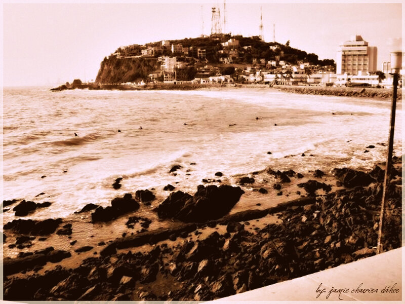 coastal town with hillside buildings