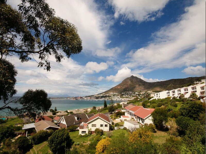 Coastal Town with Mountain