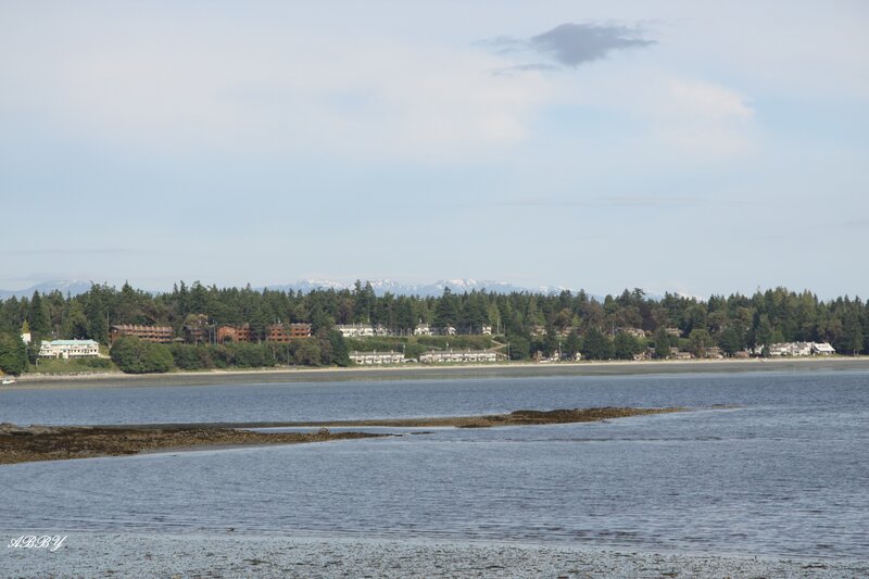Coastal Town with Mountains — Blue, Serene, Afternoon, Photograph