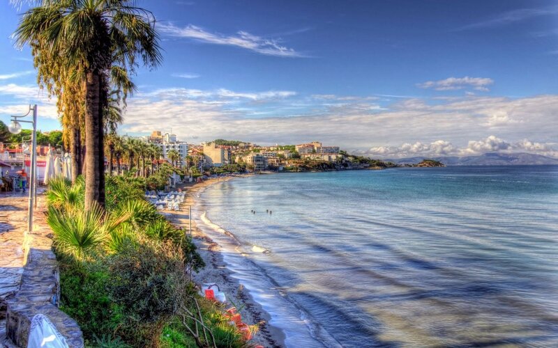 Coastal Town with Palm Trees — Blue, Serene