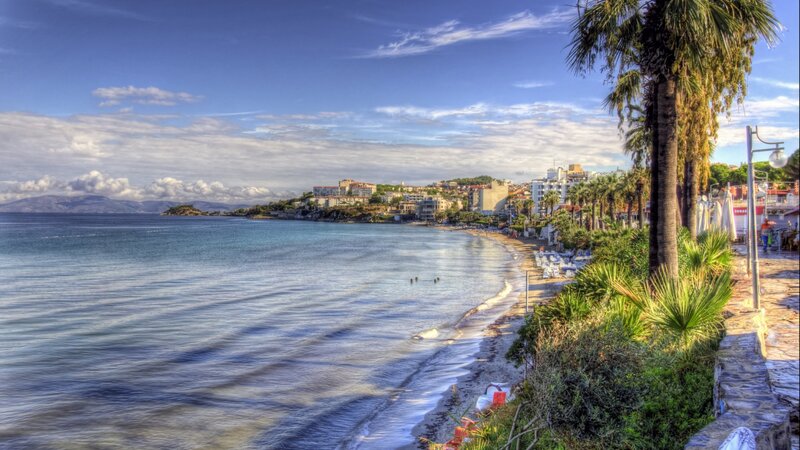 Coastal Town with Palm Trees — Blue
