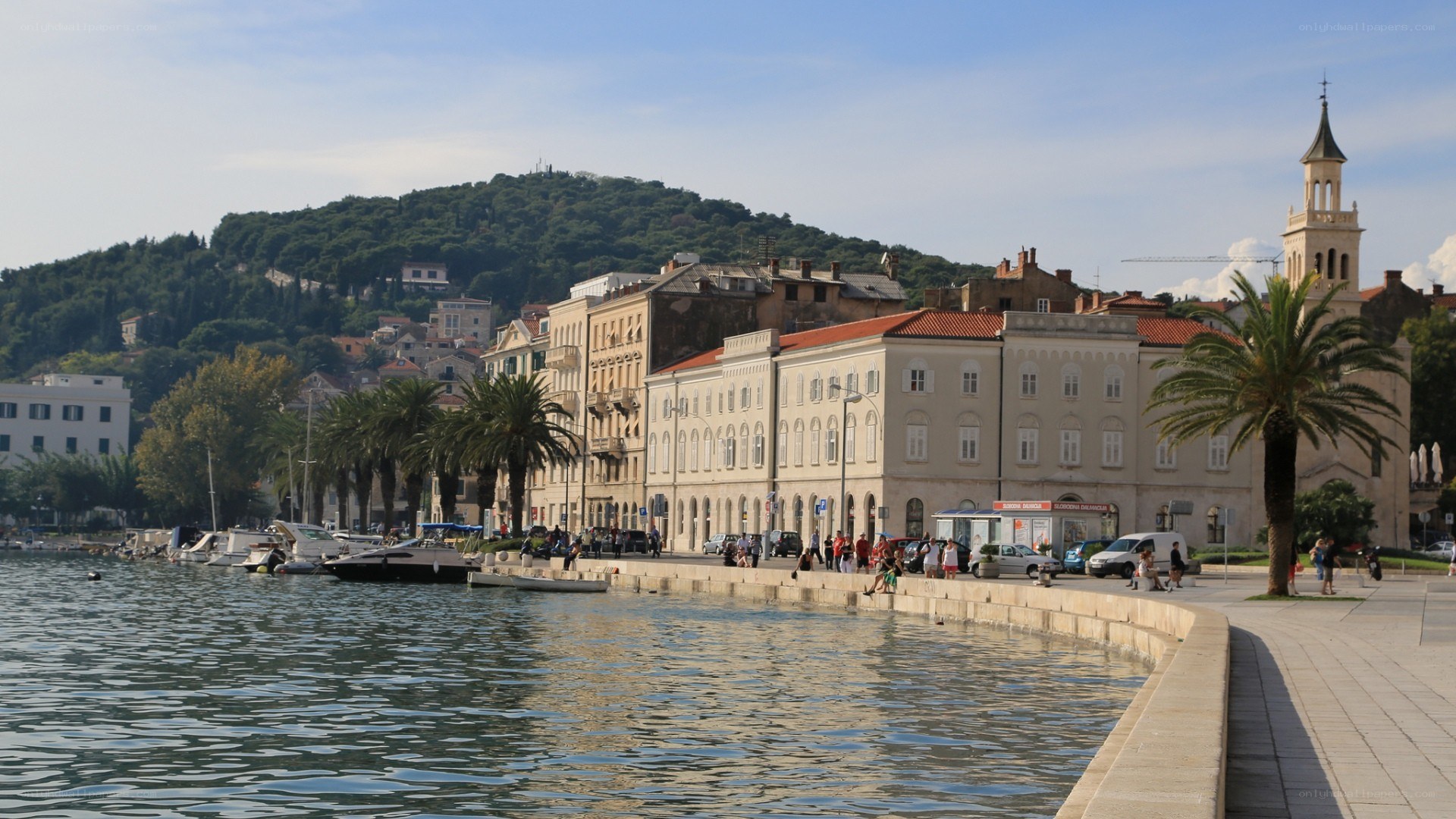 coastal town with palm trees