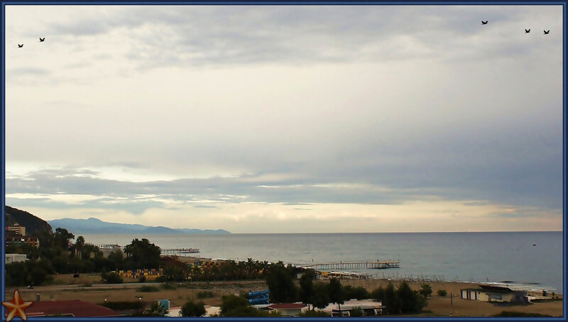 Coastal Town with Pier — Gray