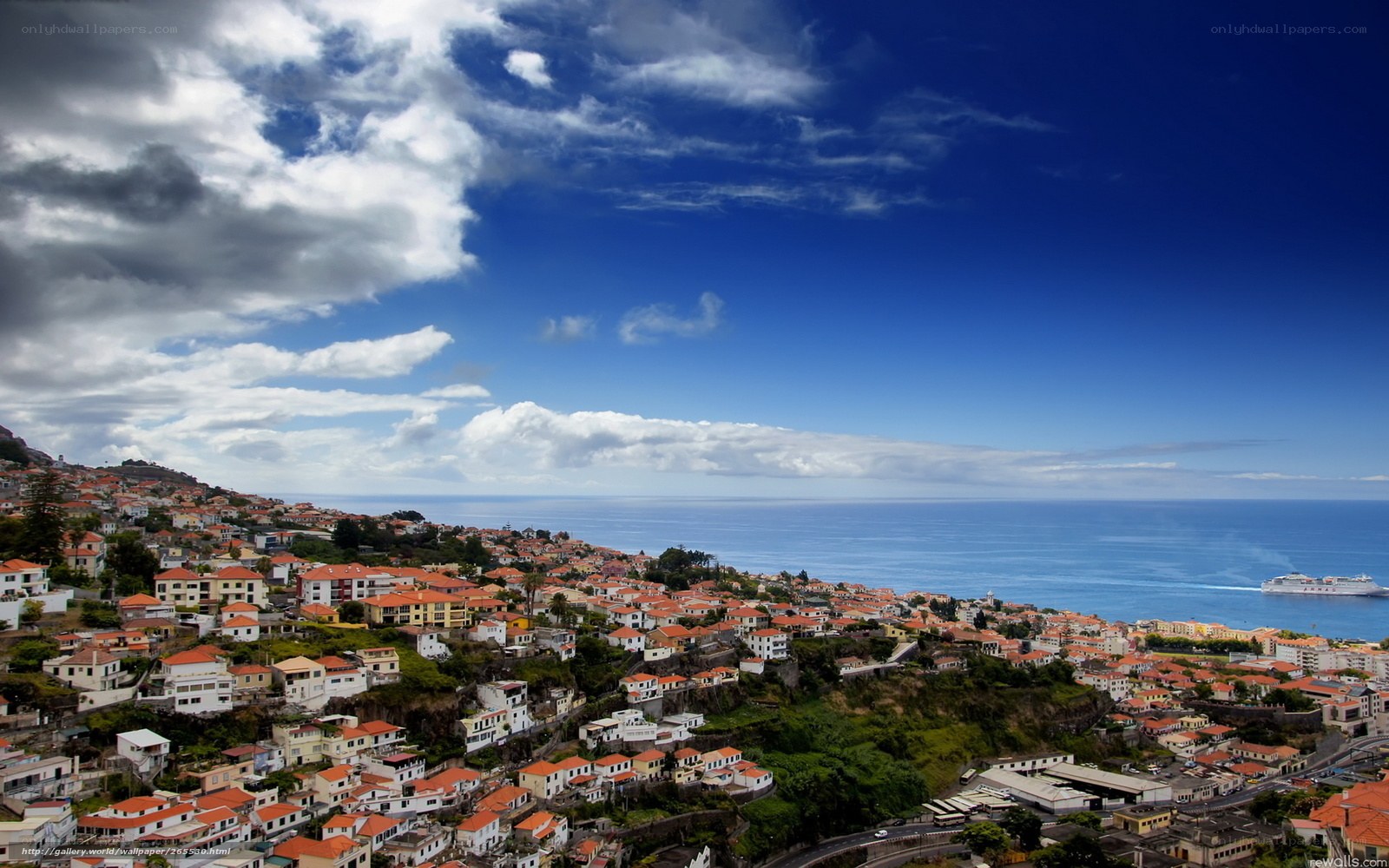 coastal town with red-roofed houses