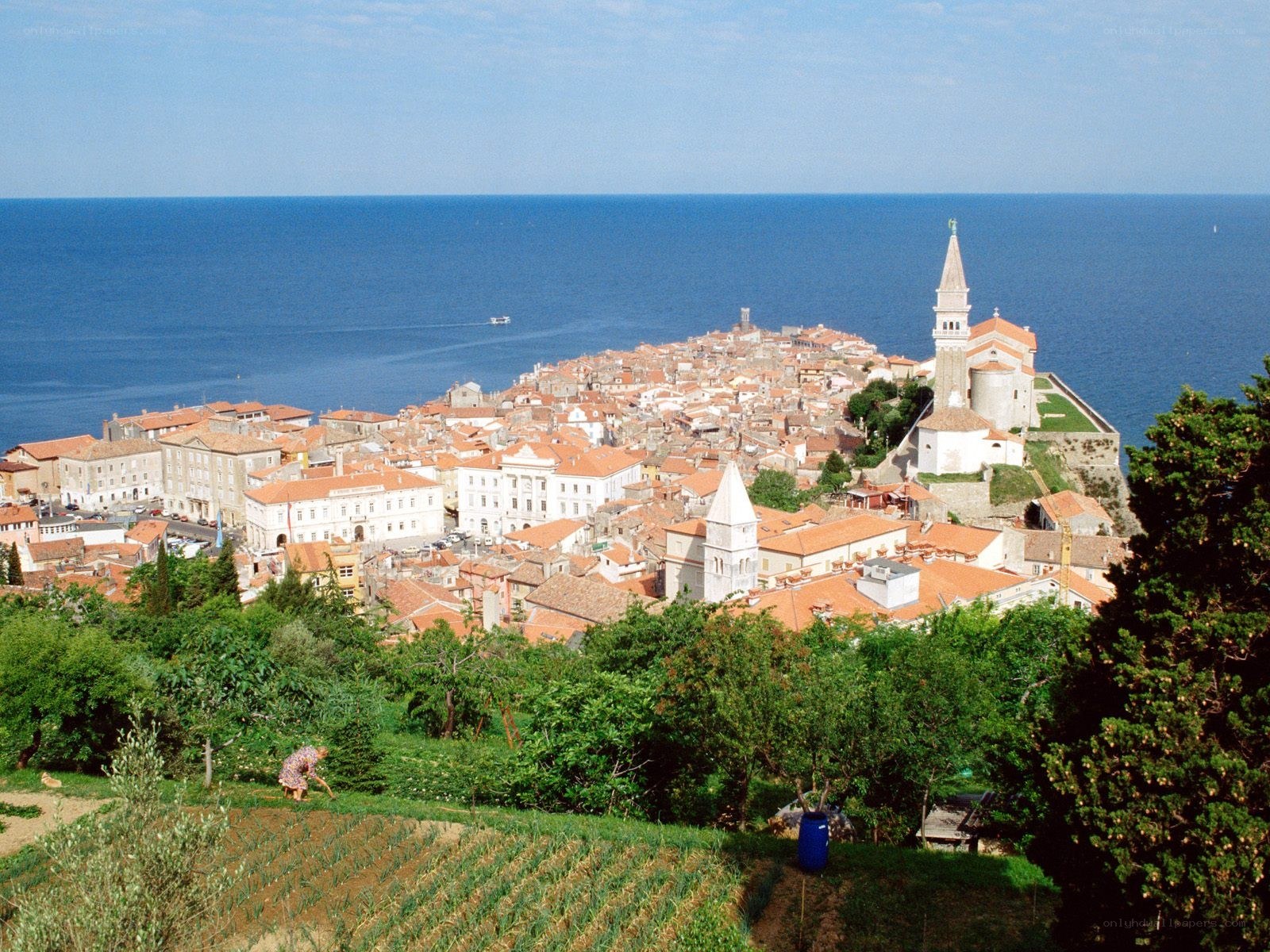coastal town with red roofs