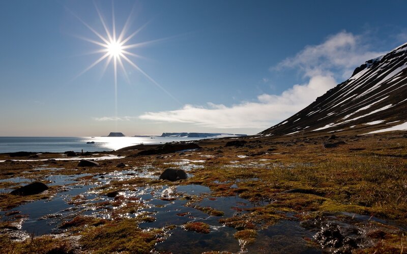 Coastal Tundra Landscape